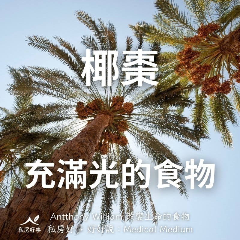 中東椰棗-細節圖6