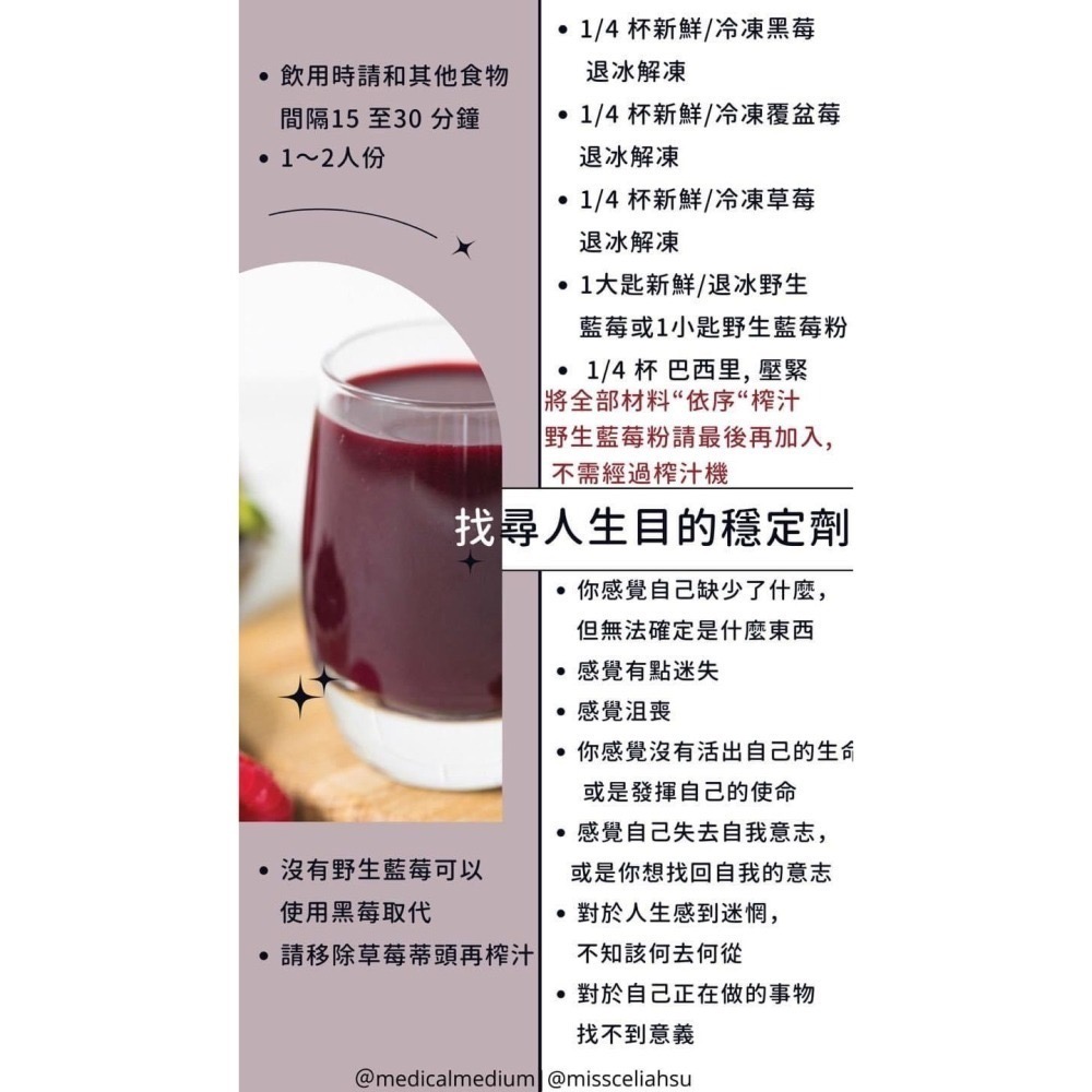 智利 黑苺-細節圖2