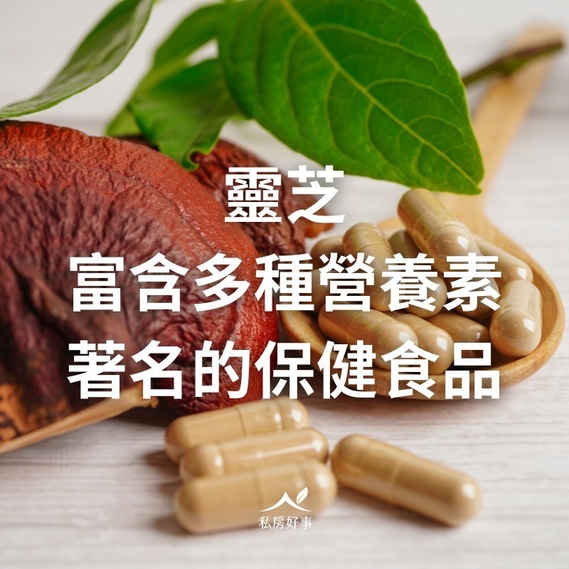 私房好事-台灣 松杉靈芝膠囊-細節圖2