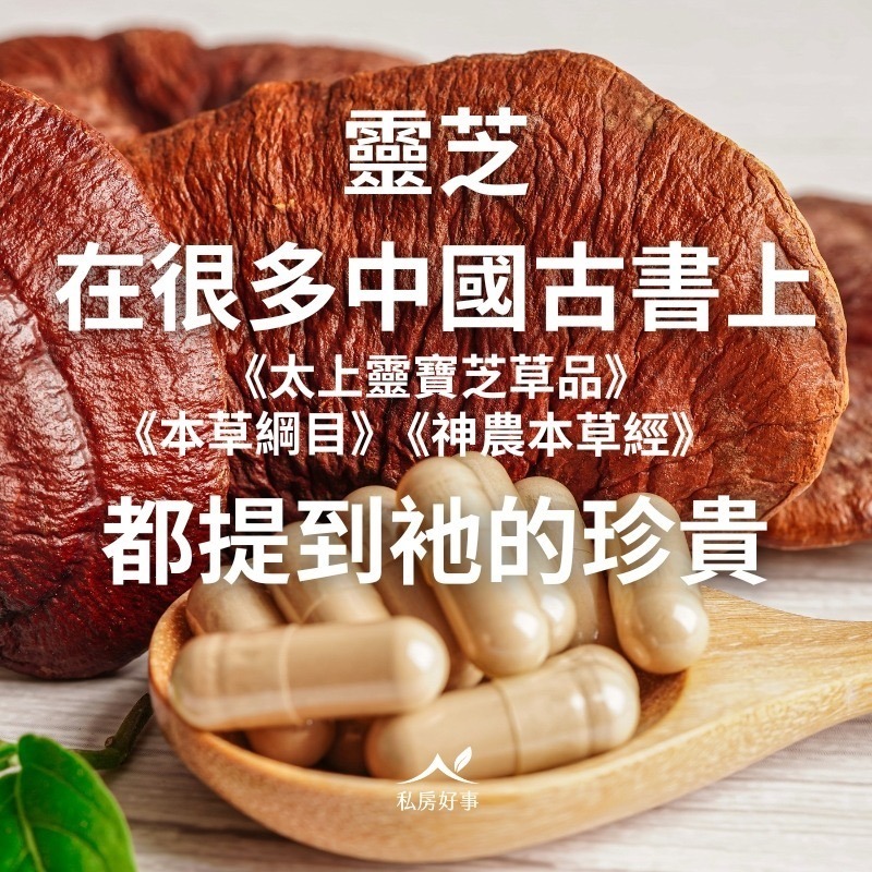私房好事-台灣 松杉靈芝膠囊-細節圖3