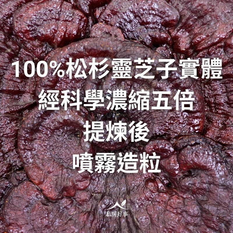 私房好事-台灣 松杉靈芝膠囊-細節圖5