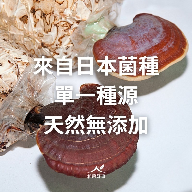 私房好事-台灣 松杉靈芝膠囊-細節圖6