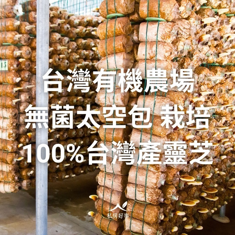 私房好事-台灣 松杉靈芝膠囊-細節圖7