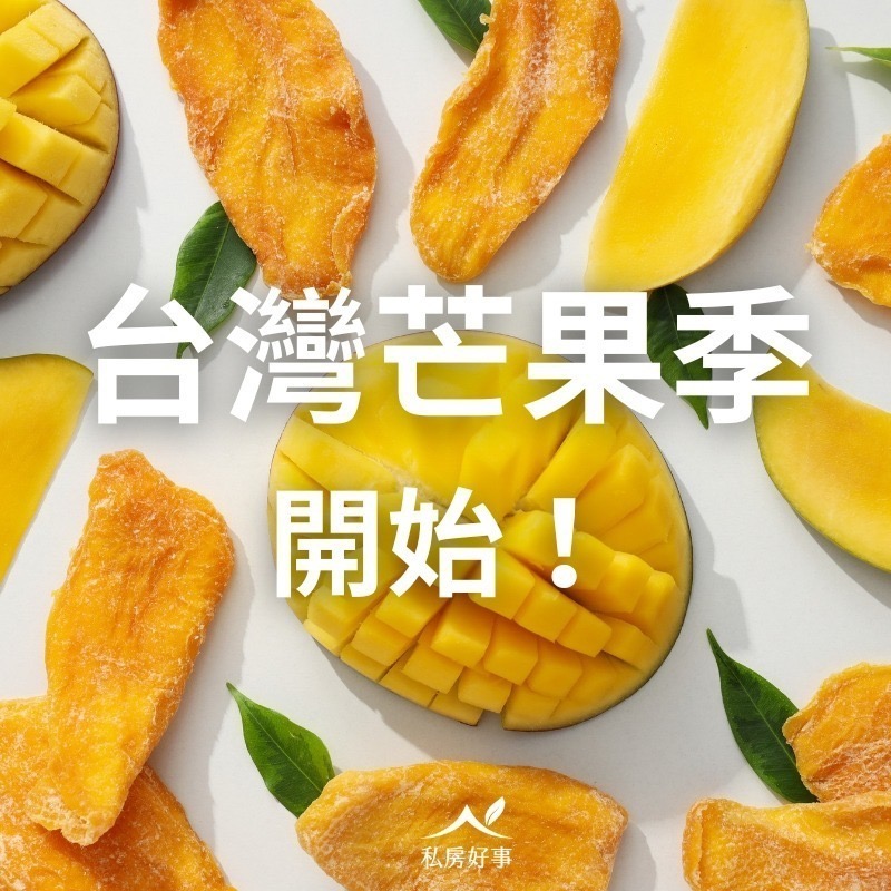 屏東無添加愛文芒果乾-細節圖3