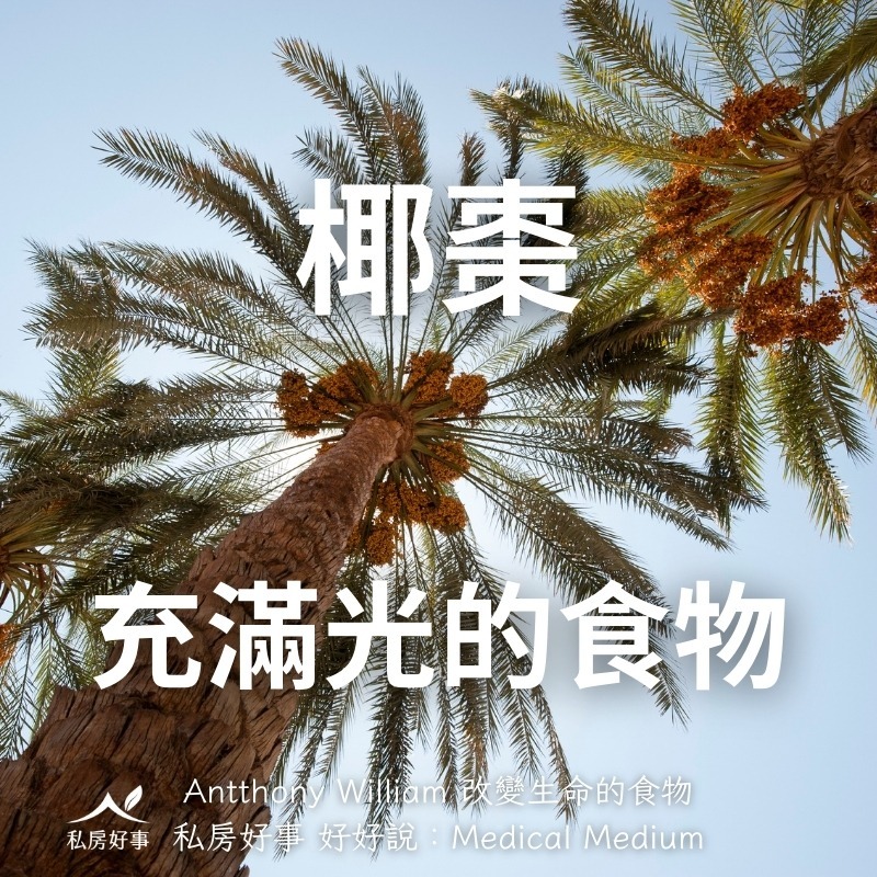 北非 盒裝 椰棗-細節圖4