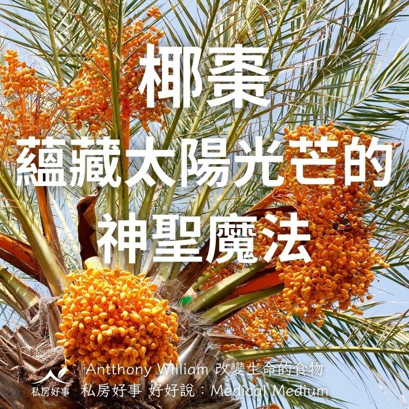 北非 盒裝 椰棗-細節圖3