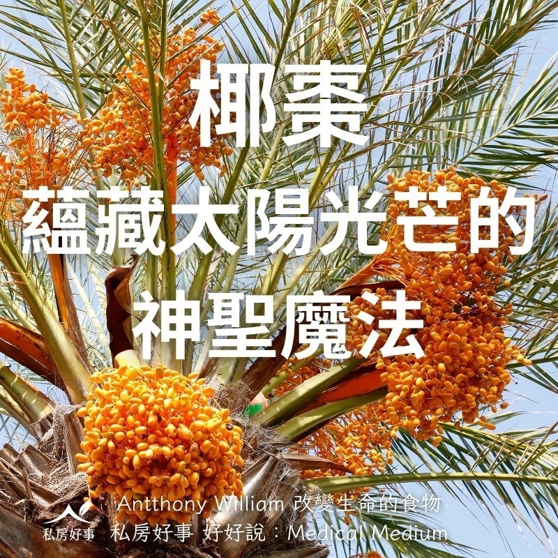 北非 盒裝 椰棗-細節圖3