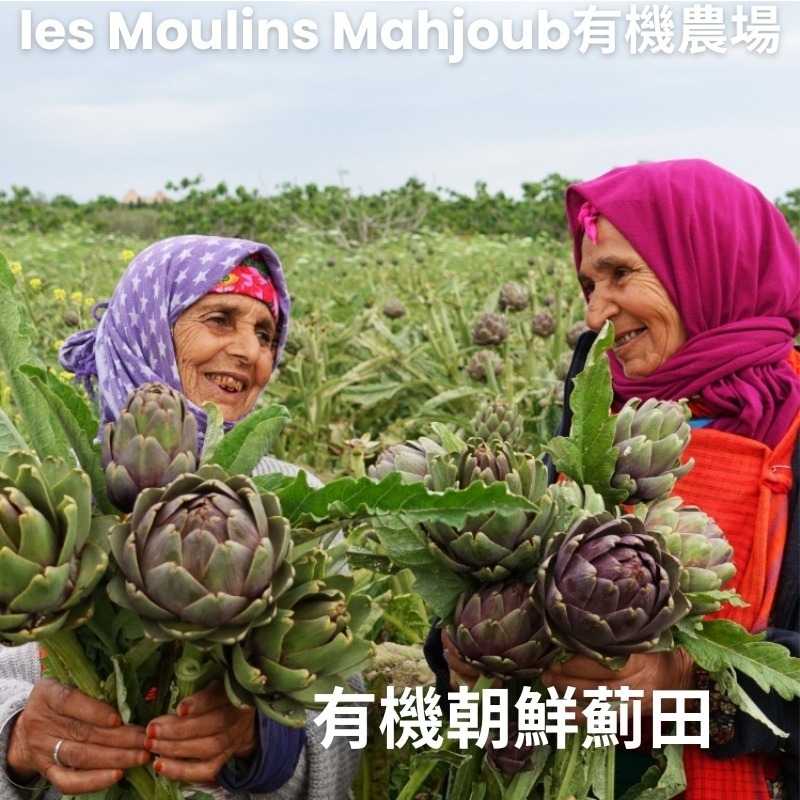 突尼西亞~les Moulins Mahjoub有機莊園~番茄義大利麵醬-細節圖6