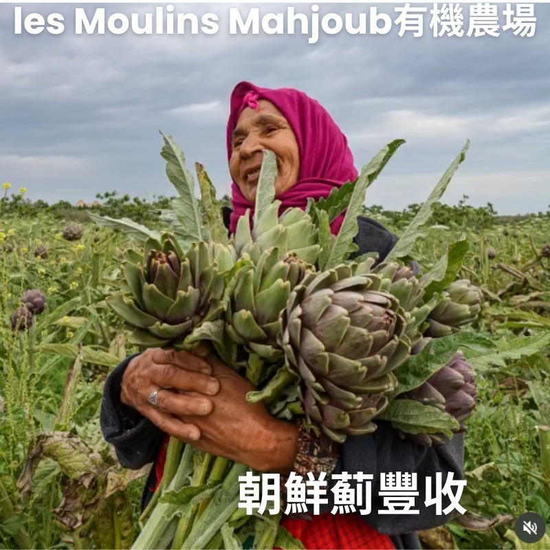 突尼西亞~les Moulins Mahjoub有機莊園~番茄義大利麵醬-細節圖7