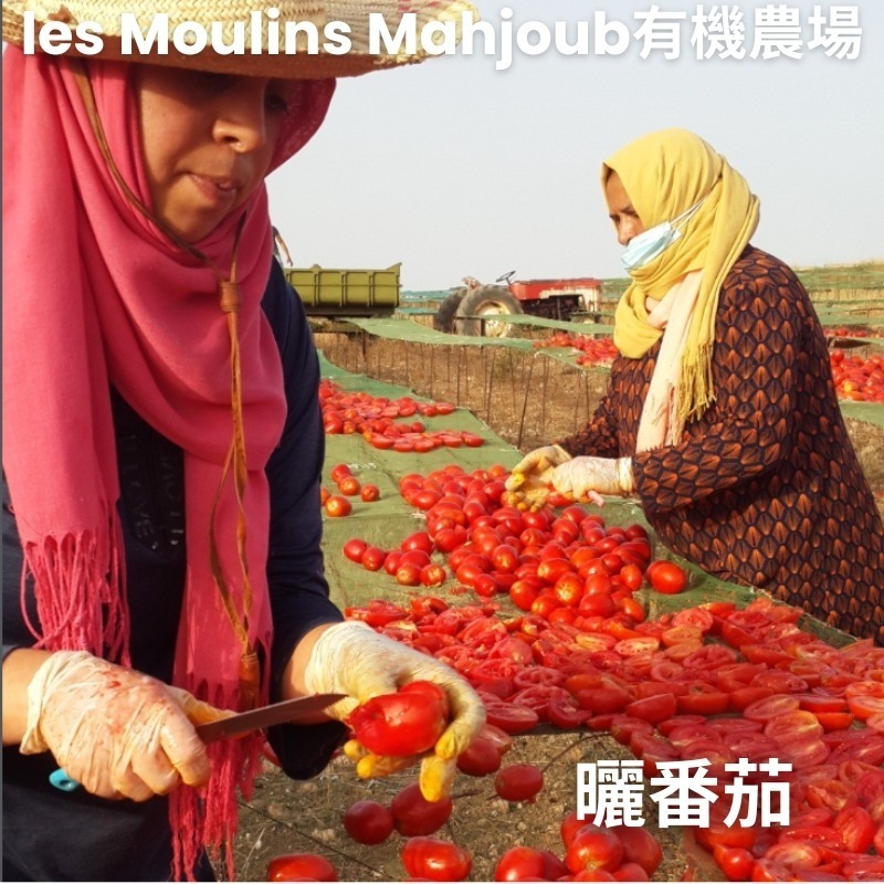 突尼西亞~les Moulins Mahjoub有機莊園~番茄義大利麵醬-細節圖8