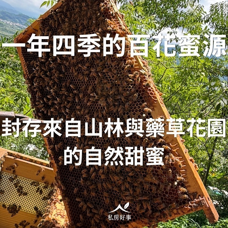有機藥草農場 百花生蜂蜜(9月底出貨)-細節圖2