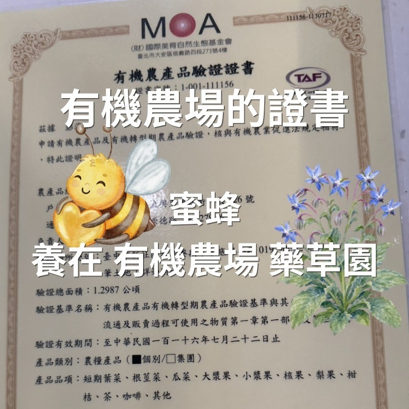 有機藥草農場 百花生蜂蜜(9月底出貨)-細節圖3