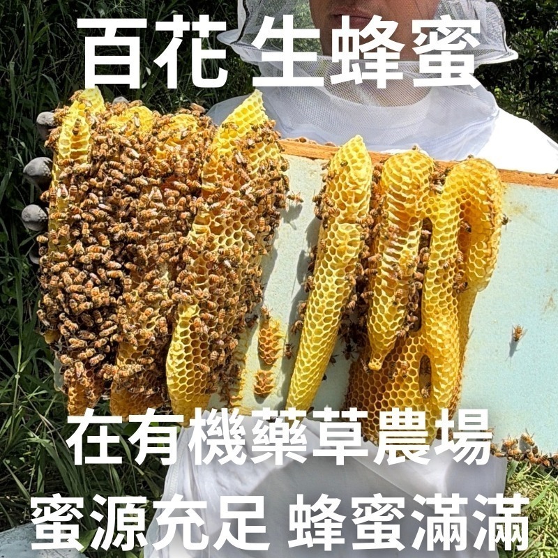 有機藥草農場 百花生蜂蜜(9月底出貨)-細節圖4