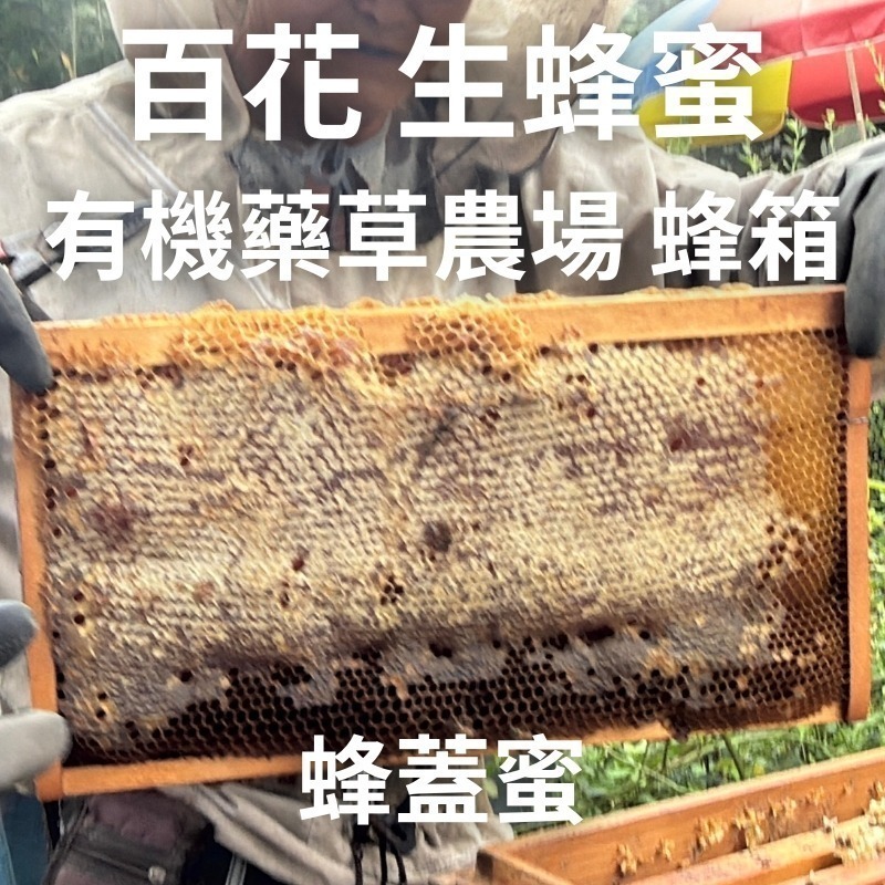 有機藥草農場 百花生蜂蜜(9月底出貨)-細節圖6