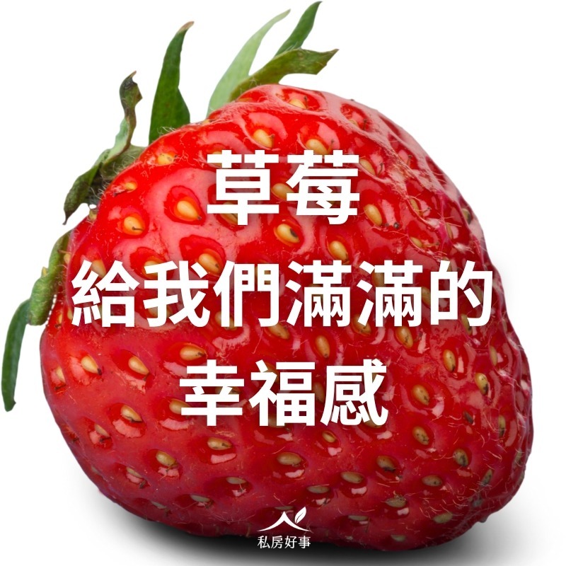 台灣草莓-細節圖4