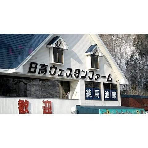 💙現貨💙免等 日本原裝正品 日高W.F.純馬油GOLD日高馬油100%北海道日高馬油120ml 1瓶試用小馬油-細節圖2