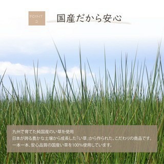 現貨 藺草除臭卷 池彥 IKEHIKO 聞得到的榻榻米 多功能小物 裝飾 DIY杯墊 餐墊 日式擺飾 除臭卷 餐墊-細節圖4