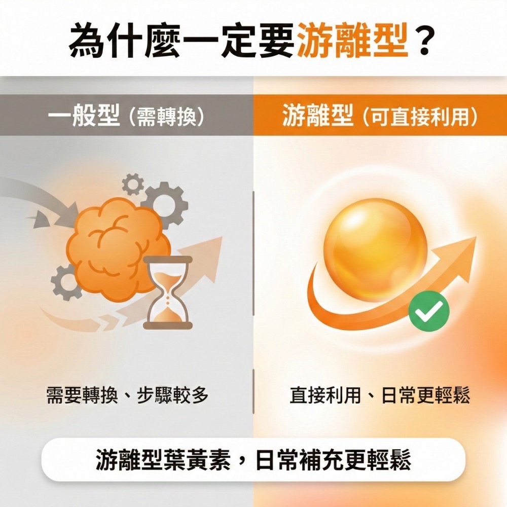 大研生醫 葉黃素 視易適葉黃素 30粒 游離型葉黃素 FloraGLO 山桑子 花青素 蝦紅素 亞麻仁油-細節圖3