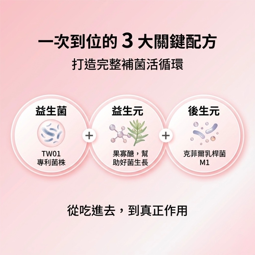 營養師輕食 300億益生菌 新升級300億益生菌 營養師輕食益生菌 新升級300億機能益生菌-細節圖3