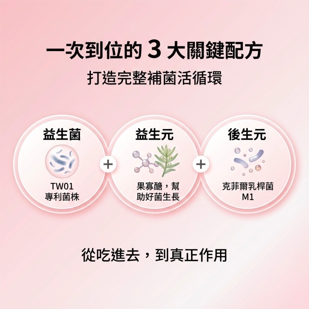 營養師輕食 300億益生菌 新升級300億益生菌 營養師輕食益生菌 新升級300億機能益生菌-細節圖3