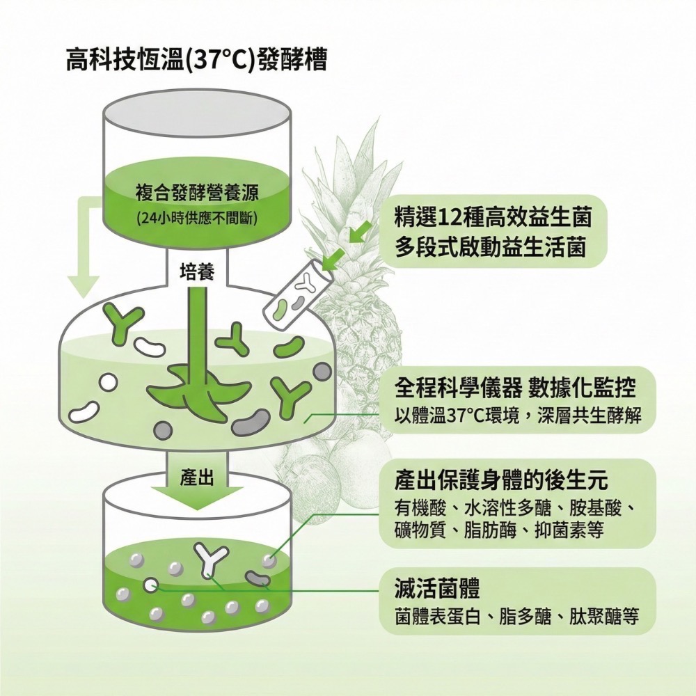 大研生醫 益生菌 順暢酵素 順暢酵素益生菌 順暢酵素益生菌粉包-細節圖6