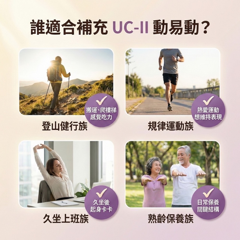 大研生醫 UC2/UCII-動易動非變性二型膠原蛋白 30粒/盒-細節圖5