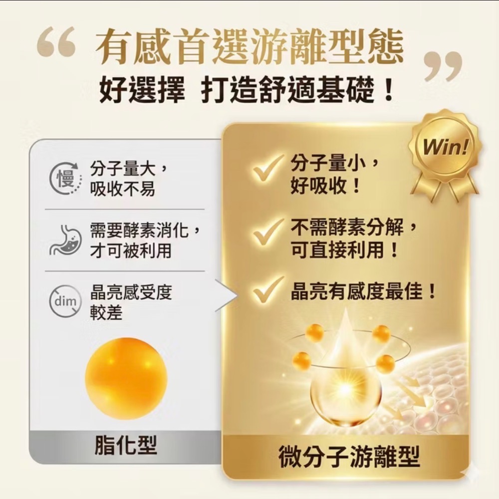 WEDAR 薇達 金盞花葉黃素 30mg 游離型葉黃素 玉米黃素 30顆/盒 素食可食 Lutein 30mg-細節圖2