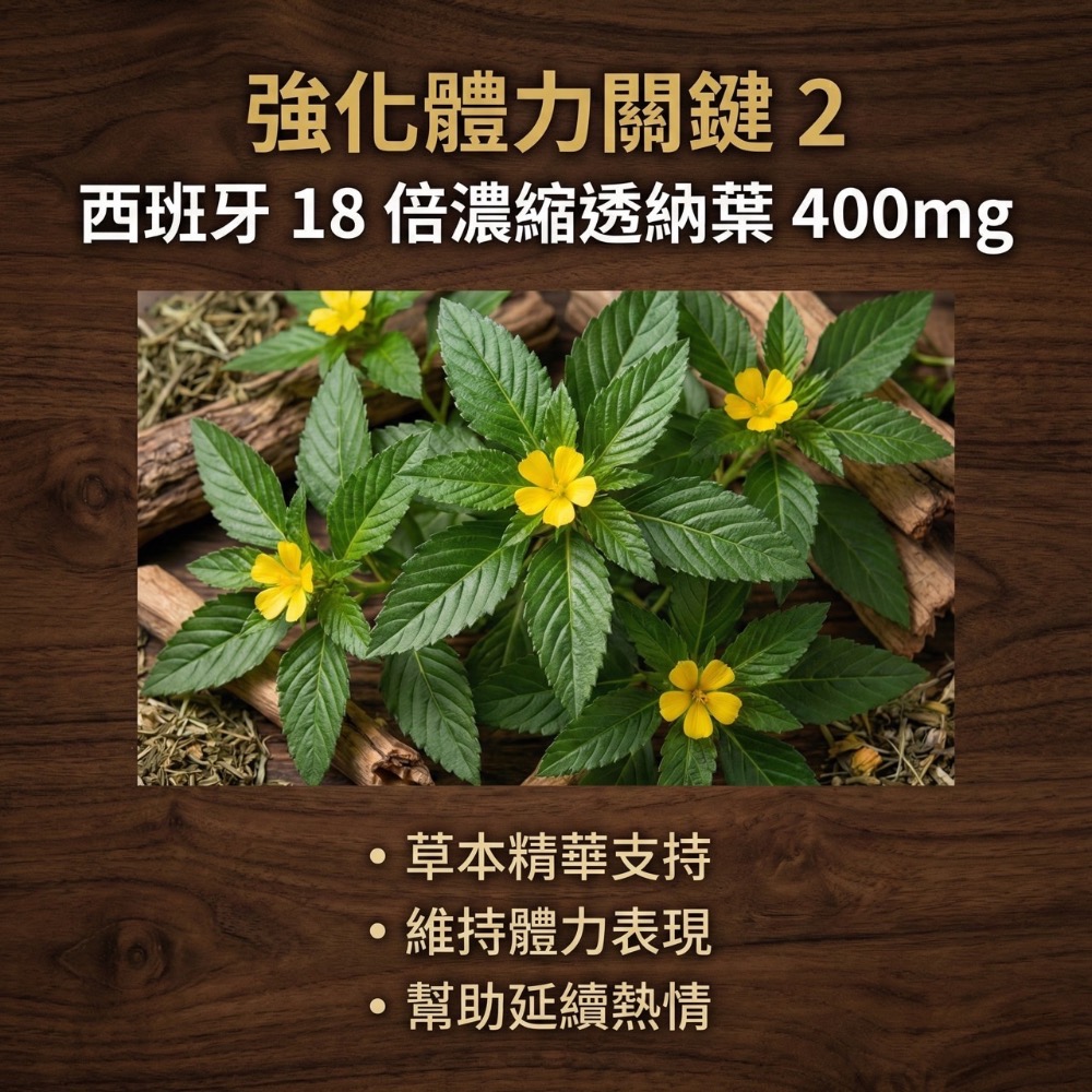 大研生醫 黑瑪卡透納葉錠 66錠-細節圖4