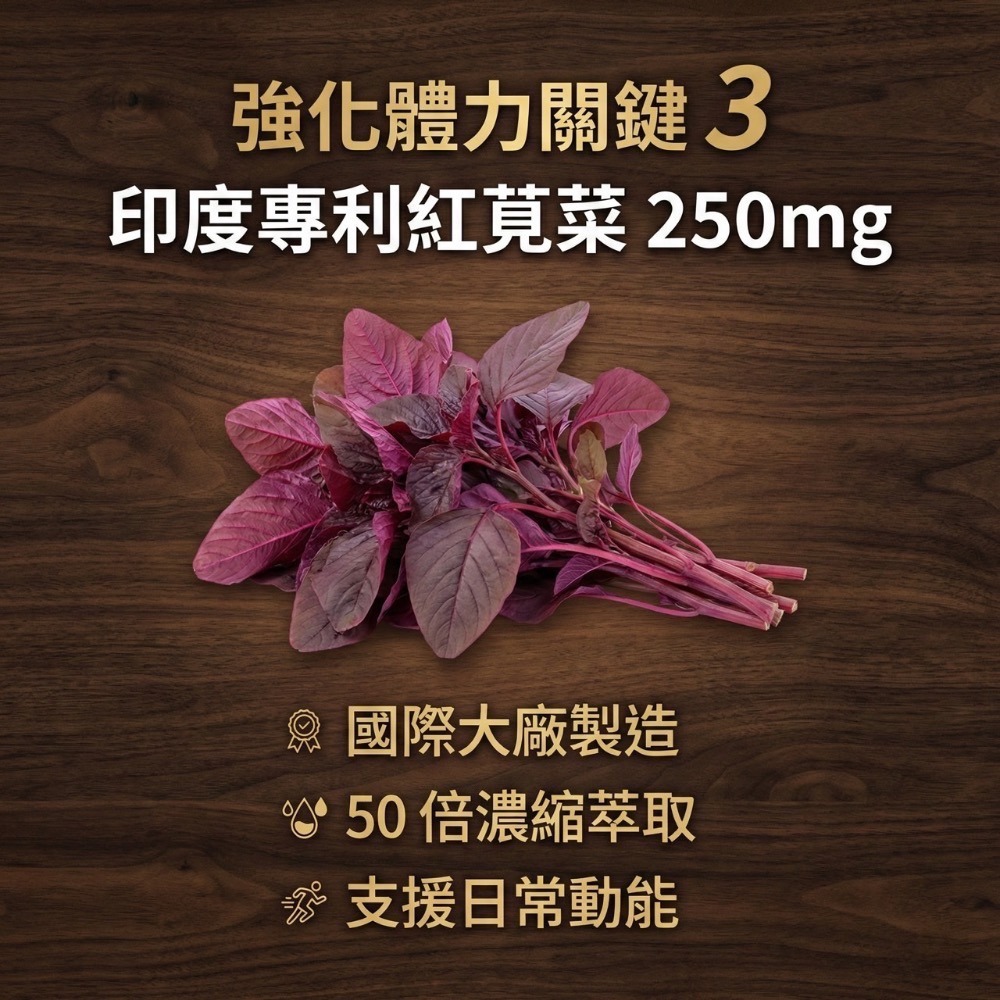 大研生醫 黑瑪卡透納葉錠 66錠-細節圖5