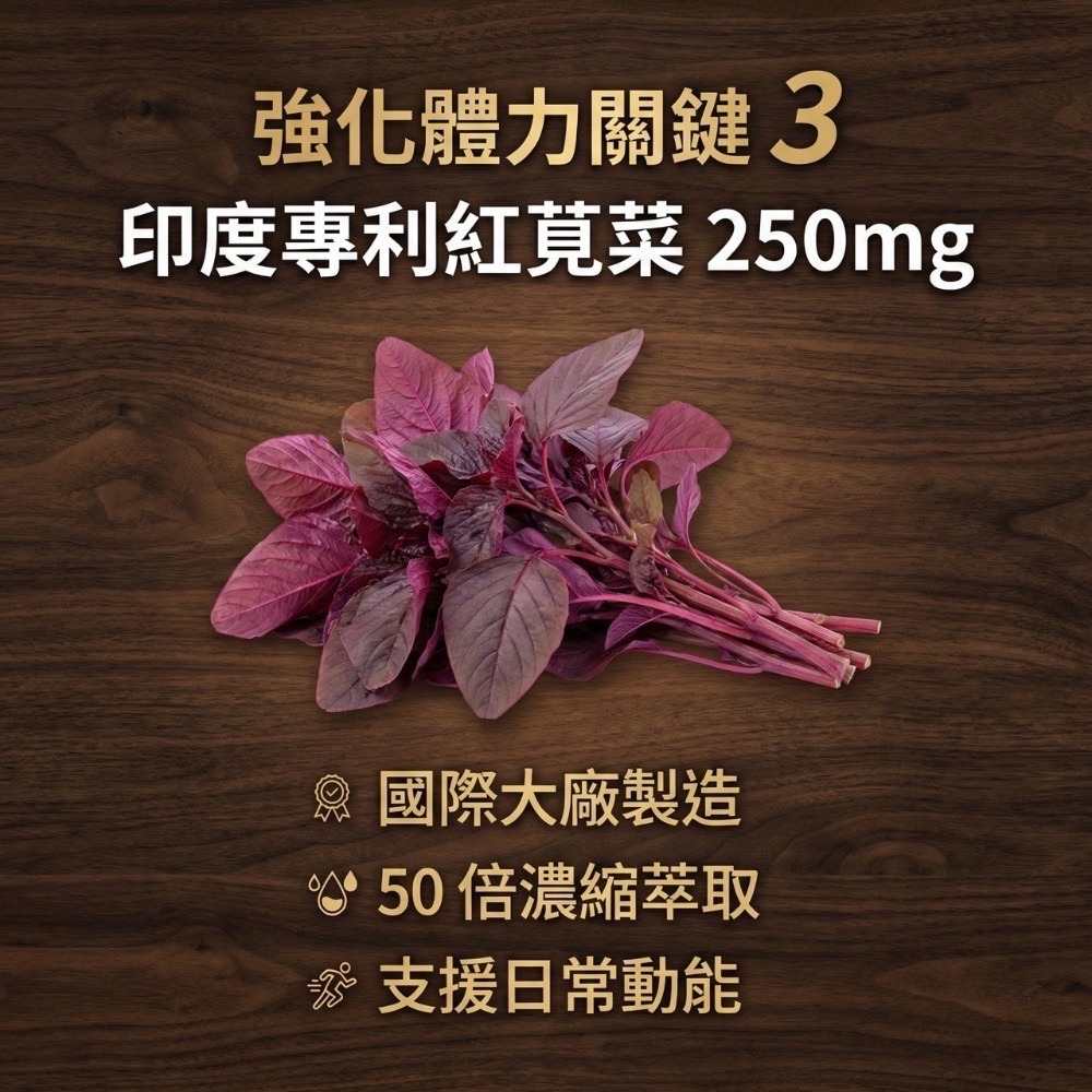 大研生醫 黑瑪卡透納葉錠 66錠-細節圖5