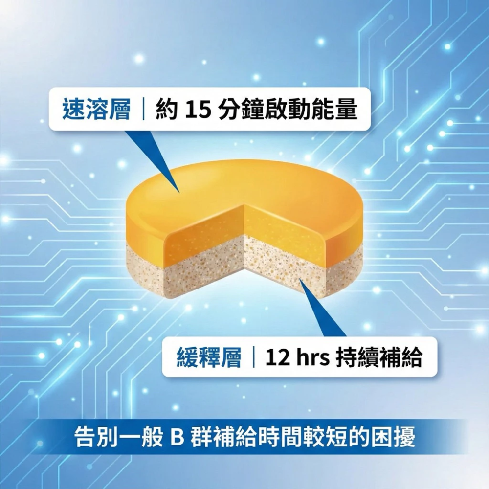 大研生醫 純素 男性 B 群 + 鋅雙層錠 30 錠/盒 B群+鋅 全素可食-細節圖4