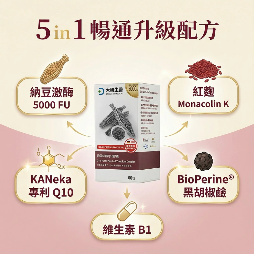 大研生醫 納豆紅麴 Q10 膠囊 60 粒 / 盒 全素可食-細節圖7