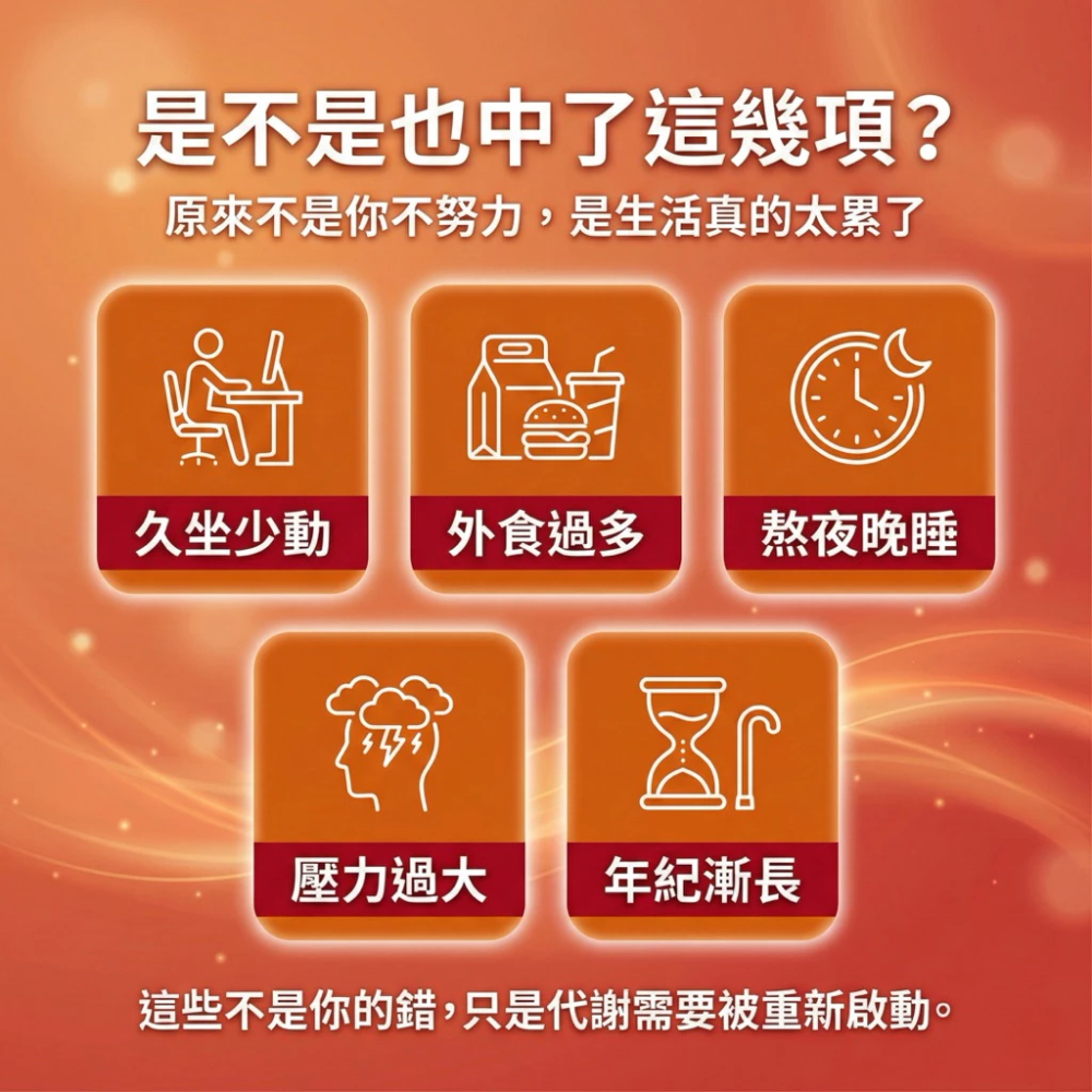 大研生醫 超燃藤黃果乳酸菌 30 錠 / 盒 藤黃果 乳酸菌 ［每樂膚］-細節圖5