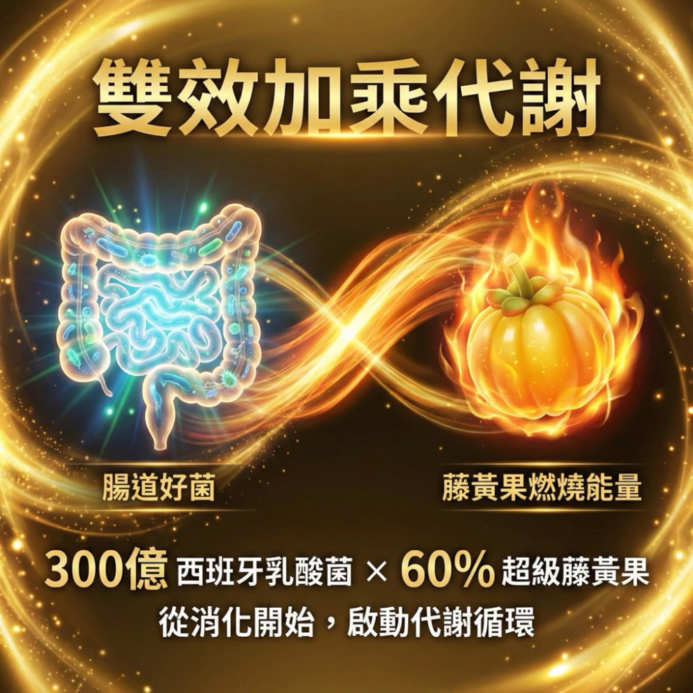 大研生醫 超燃藤黃果乳酸菌 30 錠 / 盒 藤黃果 乳酸菌 ［每樂膚］-細節圖2