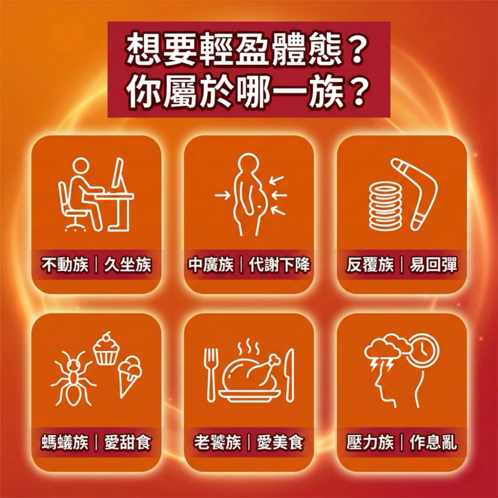 大研生醫 超燃藤黃果乳酸菌 30 錠 / 盒 藤黃果 乳酸菌 ［每樂膚］-細節圖6