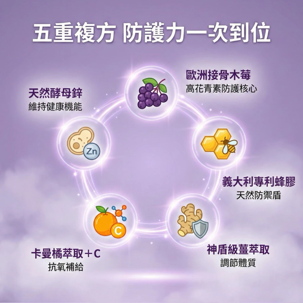 WEDAR 薇達 歐洲專利接骨木莓 + C 30 粒 / 盒 [每樂膚］-細節圖3