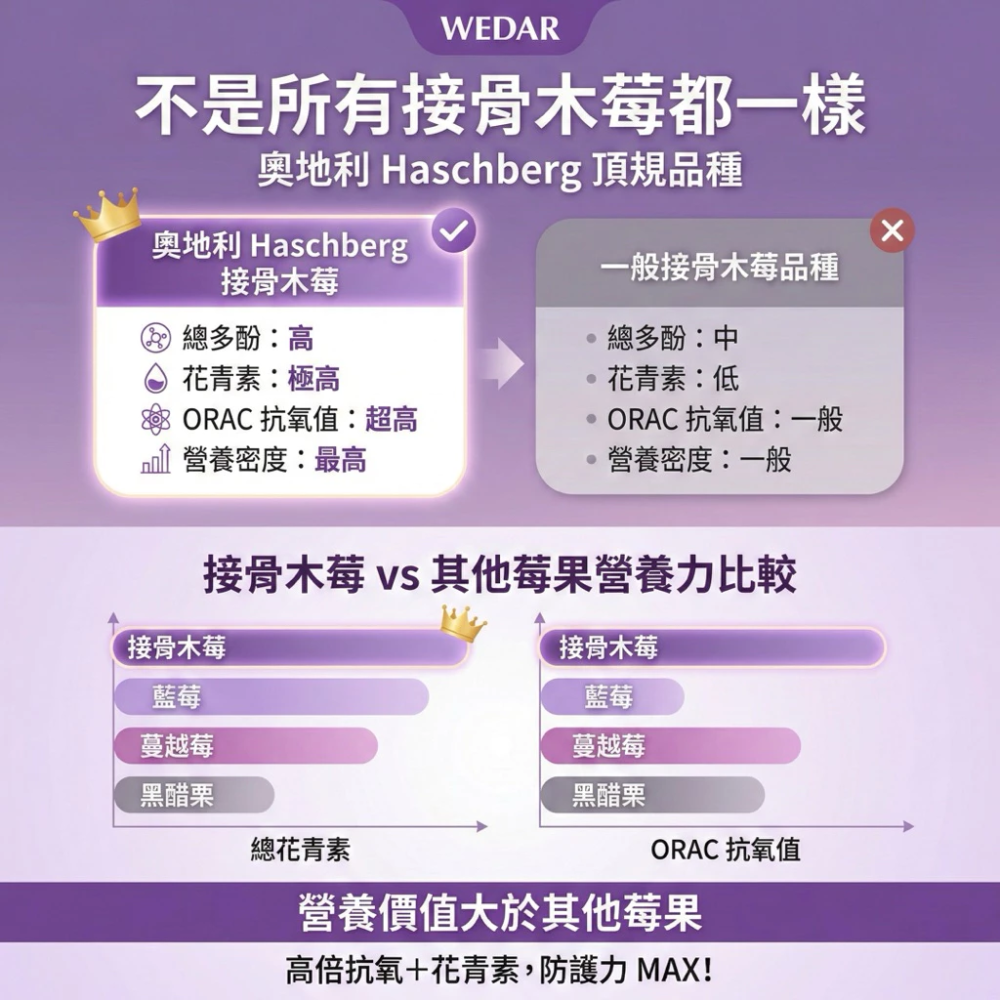 WEDAR 薇達 歐洲專利接骨木莓 + C 30 粒 / 盒 [每樂膚］-細節圖5