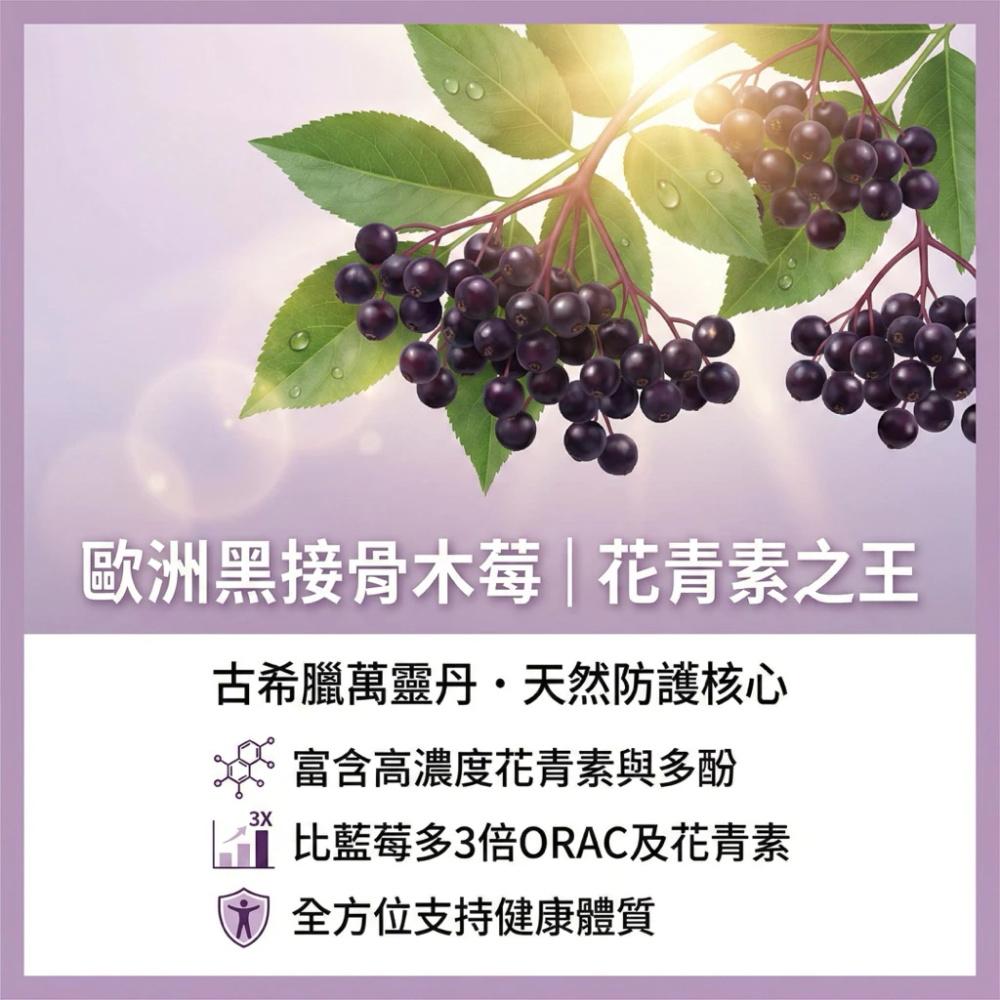 WEDAR 薇達 歐洲專利接骨木莓 + C 30 粒 / 盒 [每樂膚］-細節圖3