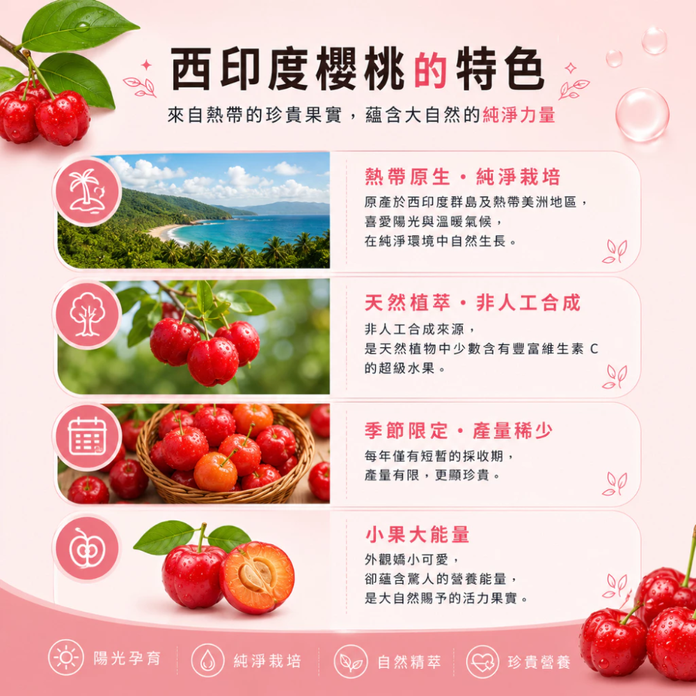 大研生醫 西印度櫻桃 植萃 維生素 C 膠囊 30 粒/盒 維他命 C 40% 維生素 C 西印度櫻桃 375mg-細節圖5