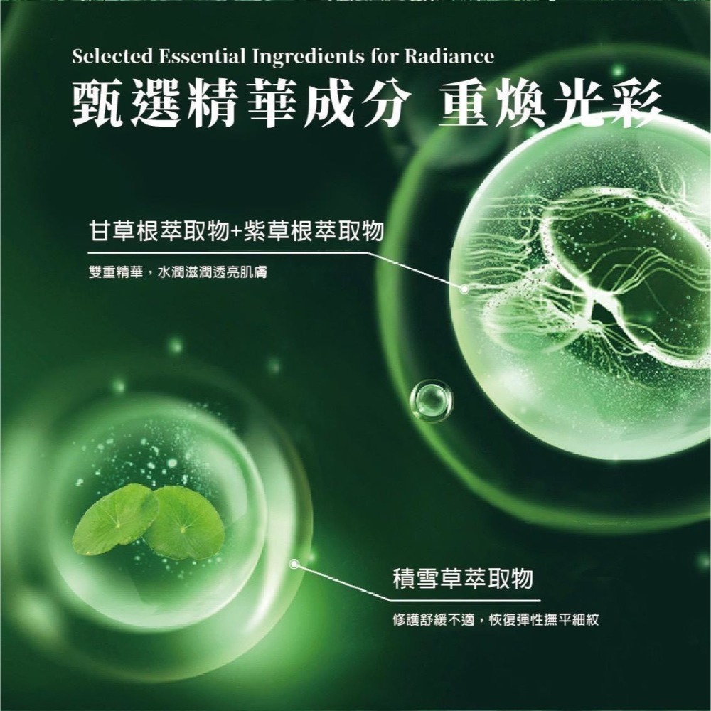 【安德森 保羅】積雪草舒護清顏面膜5片裝（現貨）含中文標籤-細節圖2