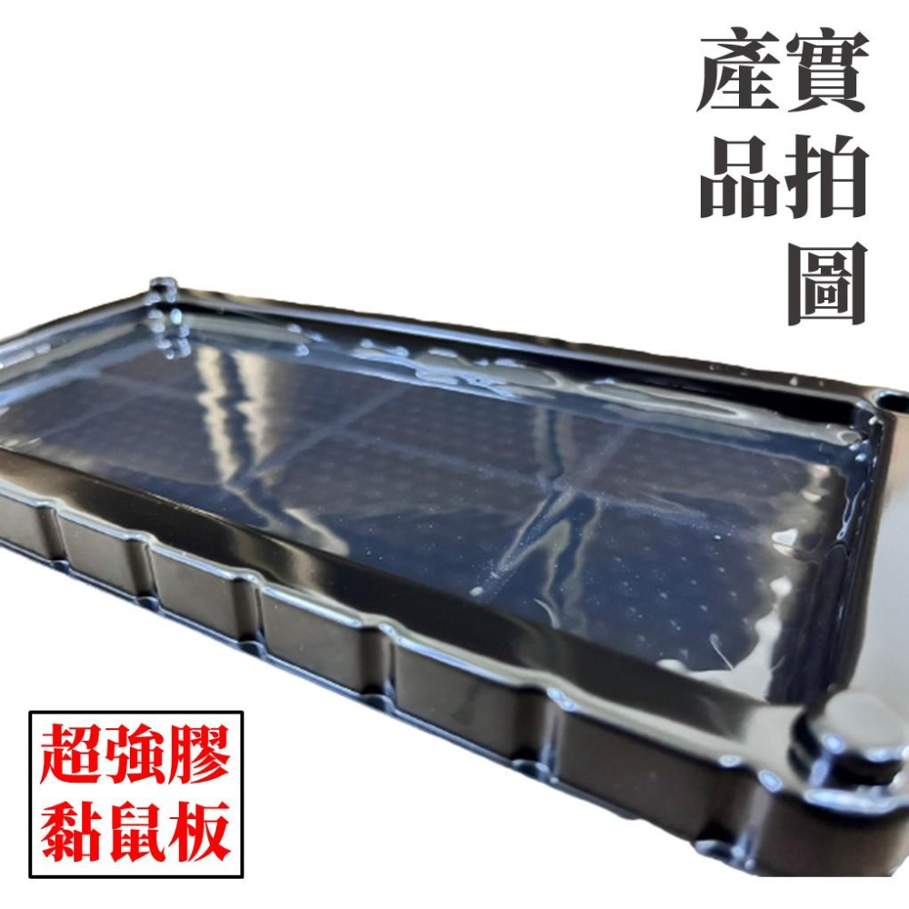 【現貨+發票】上黏 美式黏鼠板 2入組 除鼠 滅鼠 黏鼠板 黏鼠盒 粘鼠板 捕鼠 黑色黏鼠板-細節圖2