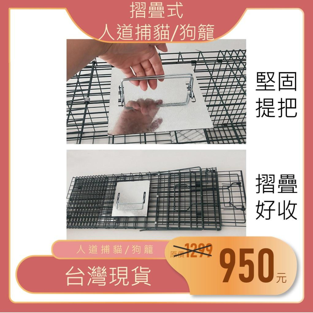 【現貨】特大摺疊便攜捕貓籠｜捕狗籠 TNR 誘捕籠 附安裝說明-細節圖3