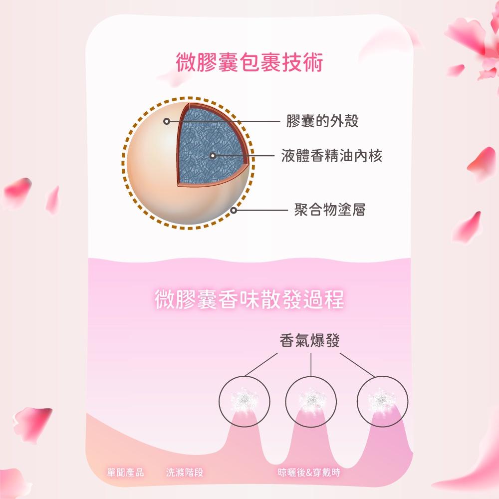 Truegrance金香植萃衣物香水 衣物芳香劑 480ml 持續芳香28天-細節圖5