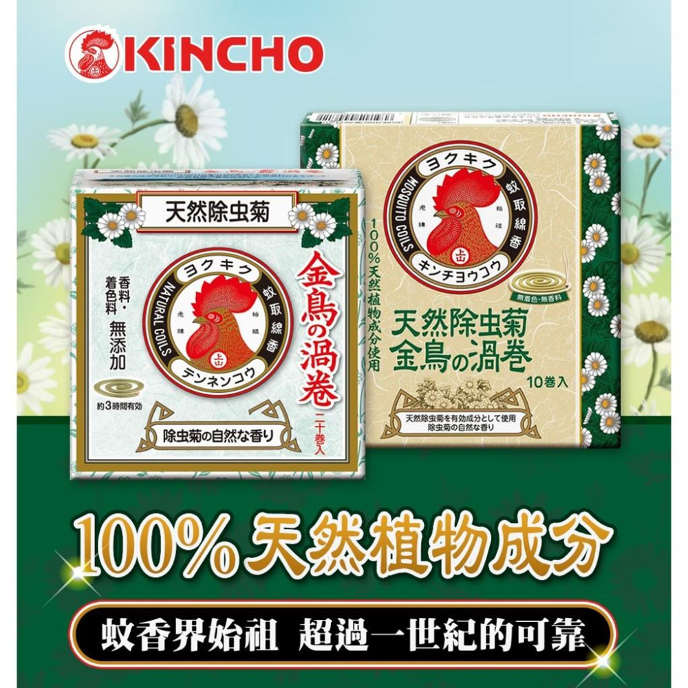 【99免運+電子發票】金鳥天然除蟲菊渦卷蚊香 10入 大片長效7小時-細節圖2