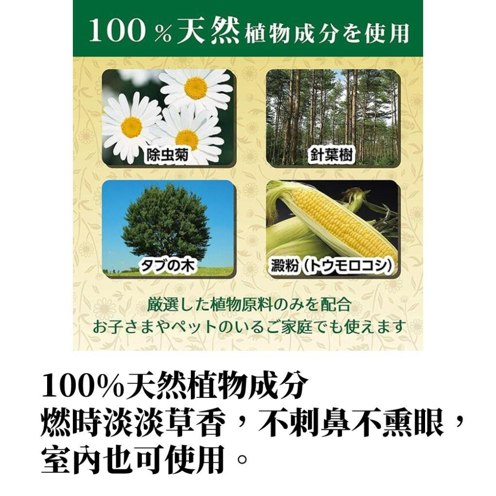 【99免運+電子發票】金鳥天然除蟲菊渦卷蚊香 10入 大片長效7小時-細節圖3