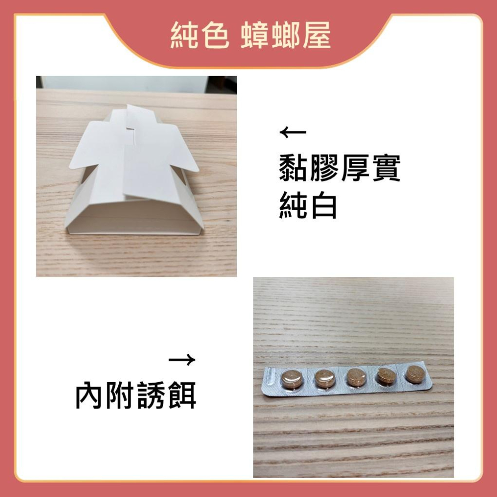 【99免運+發票】純色 蟑螂屋 純白色蟑螂屋 5入/組 滅蟑 除蟑 黏蟑-細節圖3