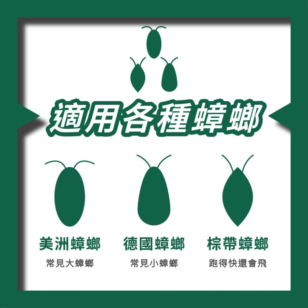 【99免運+電子發票】小強同學蟑螂藥 10克 除蟲專家指定 滅蟑 除蟑 蟑螂凝膠 餌膠-細節圖6