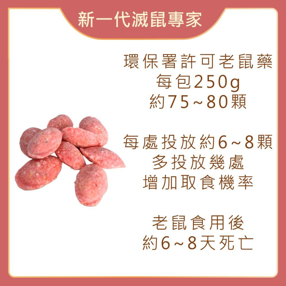 【99免運+發票】新一代滅鼠專家 總治鼠250g 滅鼠 除鼠 錠狀老鼠藥-細節圖2