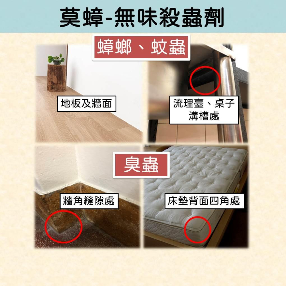 【99免運+發票】殺蟲劑 無味版 臭蟲  跳蚤 螞蟻 蟑螂 噴霧式殺蟲劑-細節圖2