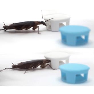 【免運+電子發票】速克力蟑螂餌劑30g 一點絕姊妹品 附贈10個餌盒 環境消毒 滅蟑 蟑螂藥-細節圖4